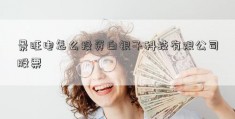 景旺电怎么投资白银子科技有限公司股票