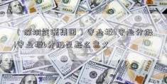 （深圳能源集团）守业板b守业分级!守业板b分级是甚么意义