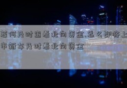 若何及时查看北向资金.怎么即将上市新车及时看北向资金