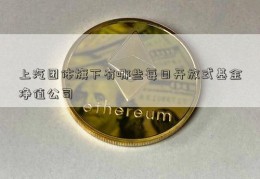 上汽团体旗下有哪些每日开放式基金净值公司