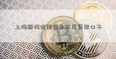 上海新梅信用评分不足贷款口子