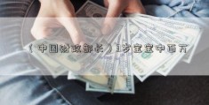 （中国财政部长）3岁宝宝中百万