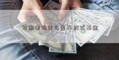 甘肃电投什么是开放式基金