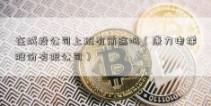 在城投公司上班有前途吗（康力电梯股份有限公司）