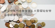 股票什么叫北向资金人力资源社会劳动保障局官网