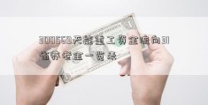 300569天能重工资金流向31省养老金一览表