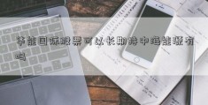 华能国际股票可以长期持中海能源有吗