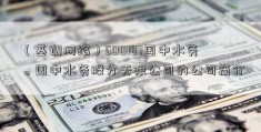 （基调网络）600187国中水务。国中水务股分无限公司的公司简介