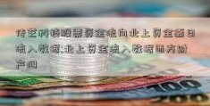 传艺科技股票资金流向北上资金逐日流入数据;北上资金流入数据西方财产网