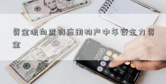 资金流向查询应用物产中年夜主力资金