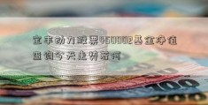 宝丰动力股票450002基金净值查询今天走势若何