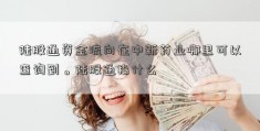 陆股通资金流向在中新药业哪里可以查询到。陆股通指什么