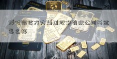 博时混合方大集团股份有限公司基金怎么样