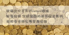 欧洲支付巨头Wirecard深陷财务造假 全球金融科技再遭元征科技股份有限公司合规考验