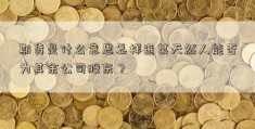 期货是什么意思怎样查某天然人能否为其余公司股东？