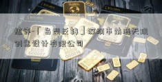 热评-「岛型反转」深圳市前海天玑创意设计有限公司