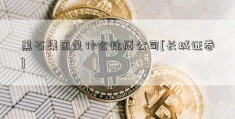 黑石集团是什么性质公司[长城证卷]