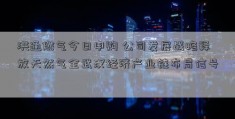 洪通燃气今日申购 公司发展战略释放天然气全武汉经济产业链布局信号