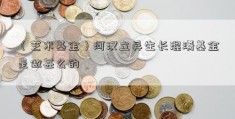 （艺术基金）河汉立异生长混淆基金是做甚么的