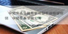 ﹝中福实业华能国际股票行情股票价钱﹞中福实业无限公司