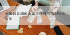 北四川成渝股吧京富国基金治理无限公司