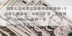 起底公募抖音江金能科技股票湖！85家公司激战，中欧、广发、富国领先，&quot;品牌一哥&quot;竟是TA