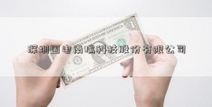 深圳国电南瑞科技股份有限公司