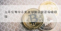 上市公司中小企业创新基金发债流程图